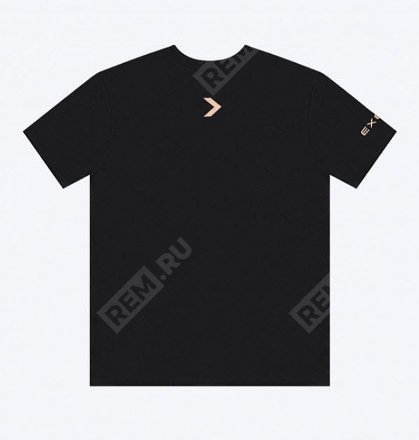  EX-TSHIRT-L  футболка мужская exeed, размер l (фото 2)