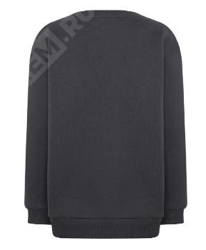  HK_SS_DG_128  свитшот haval, рост 128 (фото 2)