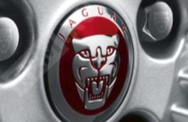 C2D47107  колпачек литого диска с логотипом jaguar, красный (фото 1)